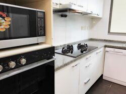 Amaryllis Ville (D11), Condominium #585070161